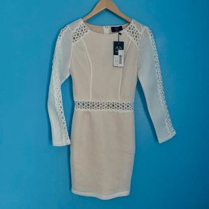 Armani A/X Cream Crochet Lined Dress NWT US Size 4